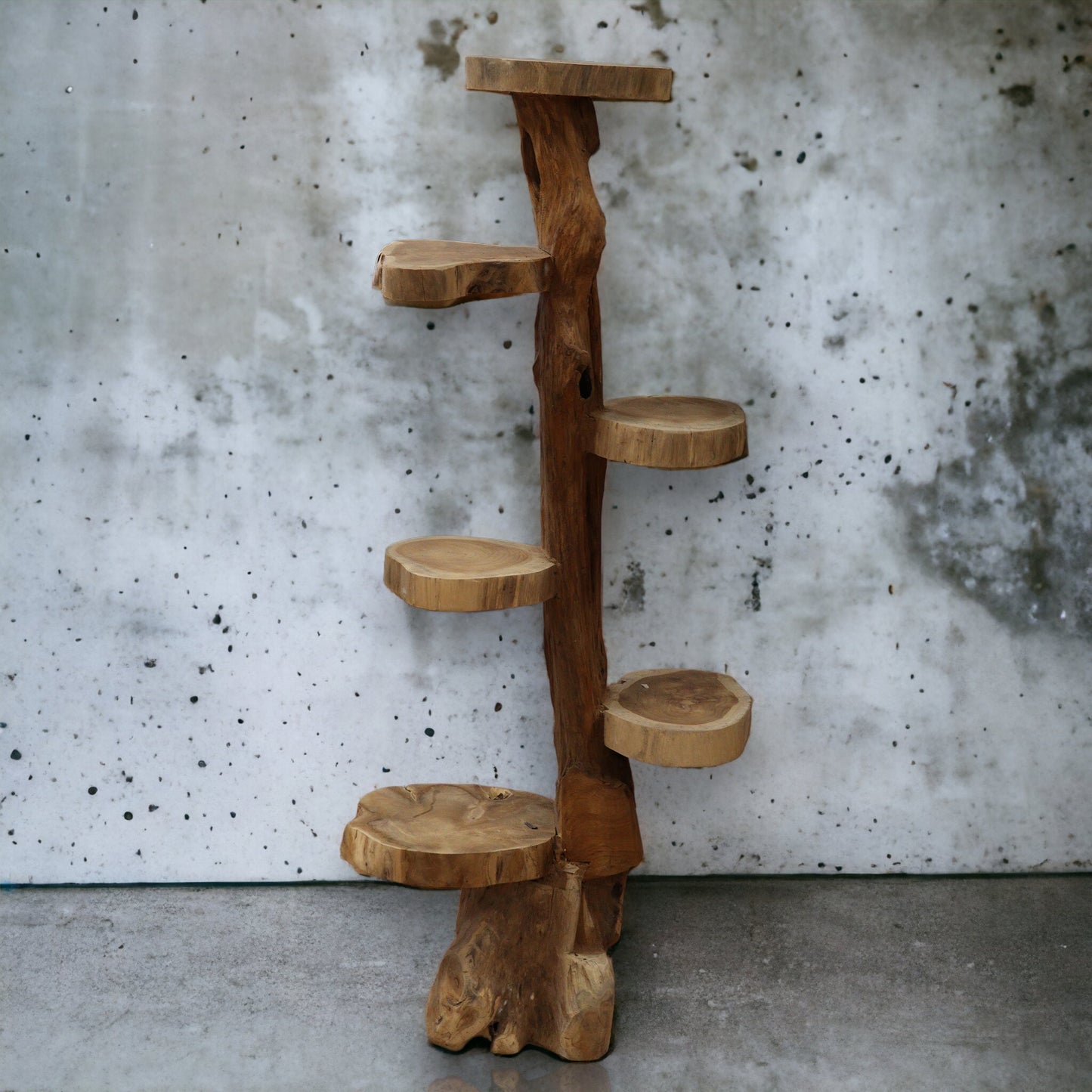 Display mit 6 Regalen aus natürlichem Teakholz