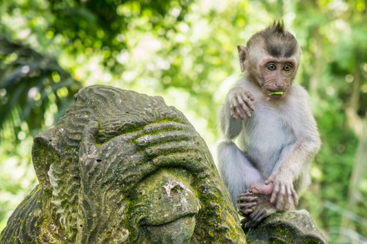 The Soul of Bali: The Cultural Legacy of Hati-Hati Angels and Bali Boxes