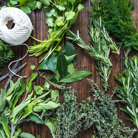 Essential tips for storing and preserving your herbs