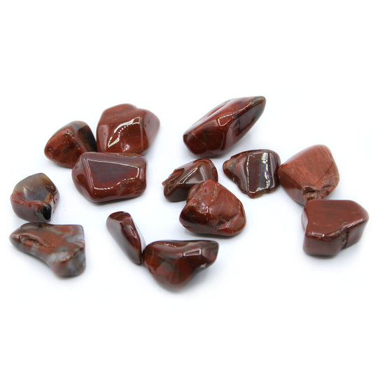 Pack of 24 L Tumble Stones - Petrified Wood L