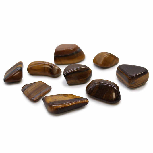 Pack of 24 L Tumble Stones - Tiger Eye - Gold