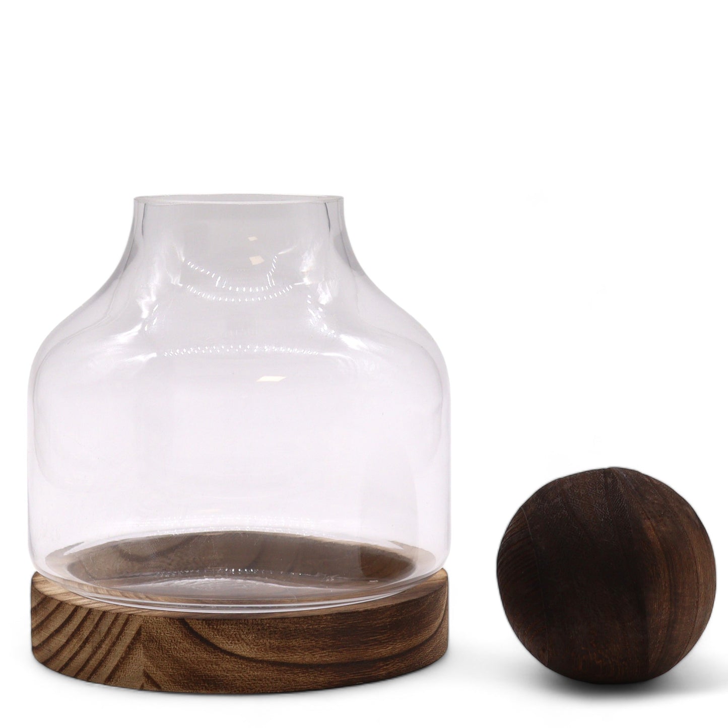 Medium Ball Top Terarium on Dark Tung Wood