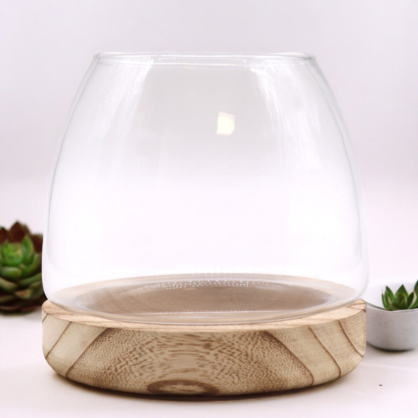 Medium Terarium on Natural Tung Wood