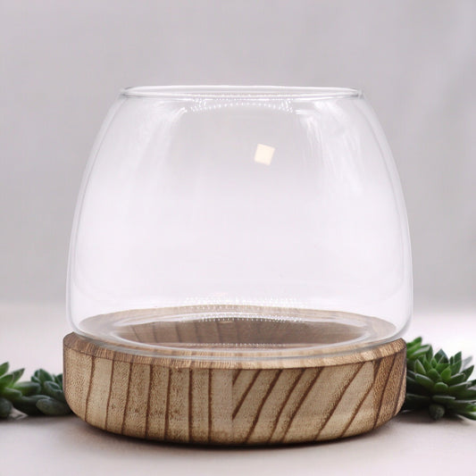 Small Terarium on Natural Tung Wood