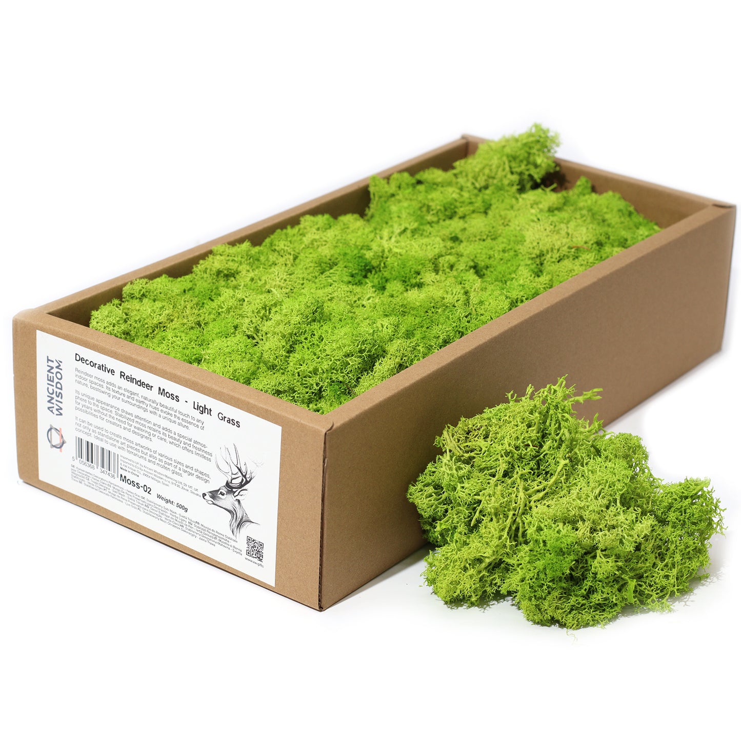 Decoration Reindeer Moss - Light Grass  - (approx 500gm)