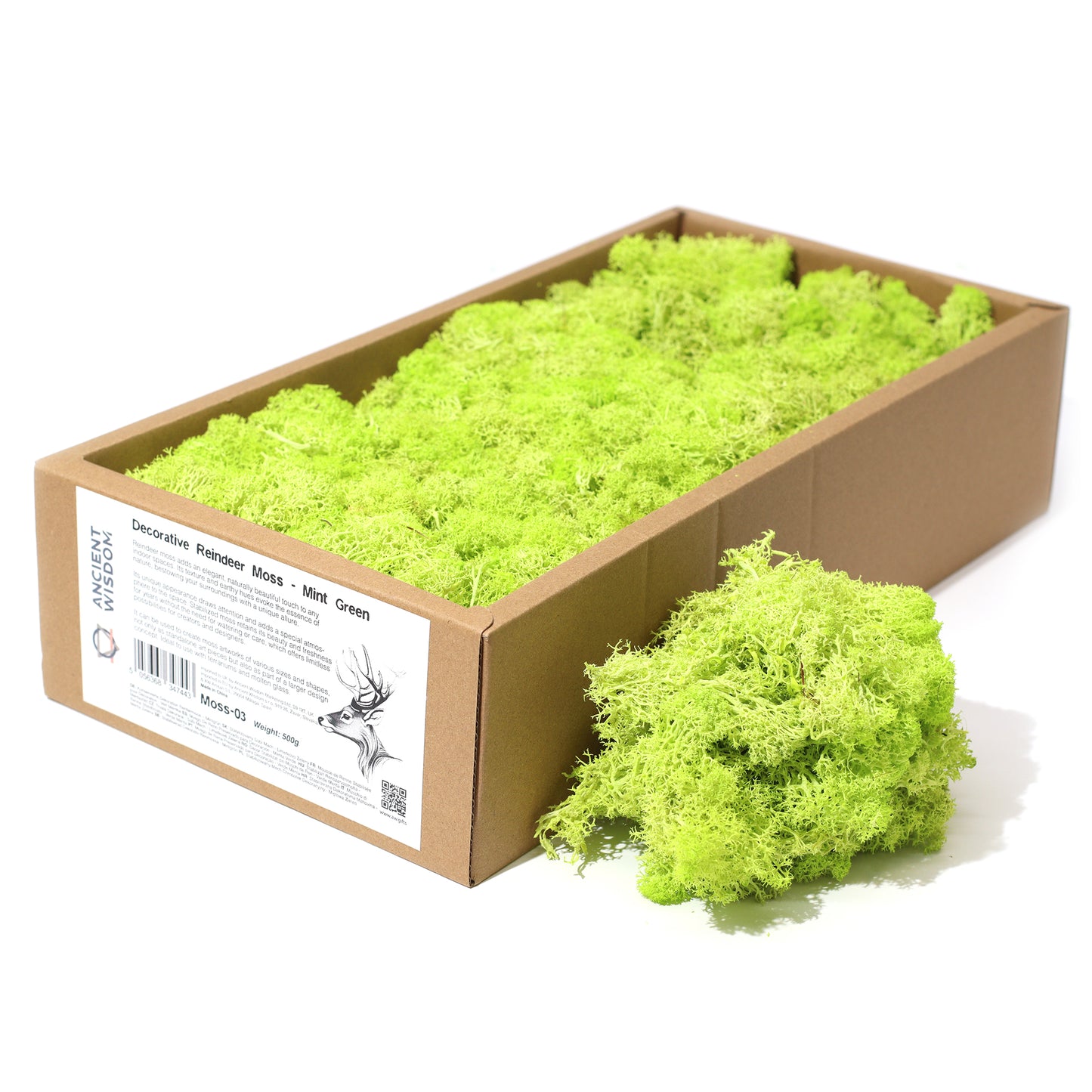 Decoration Reindeer Moss - Mint Green  - (approx 500gm)