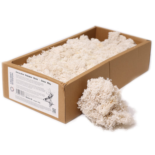 Decoration Reindeer Moss - Snow White - (approx 500gm)