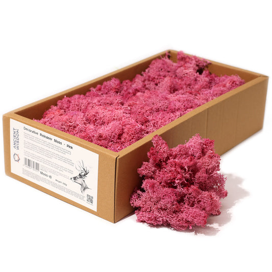 Decoration Reindeer Moss - Pink - (approx 500gm)