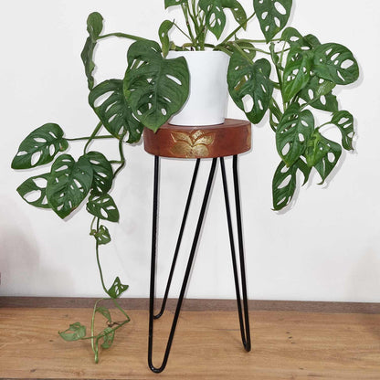 Albasia Wood Plant Stand - Terracotta & black detail