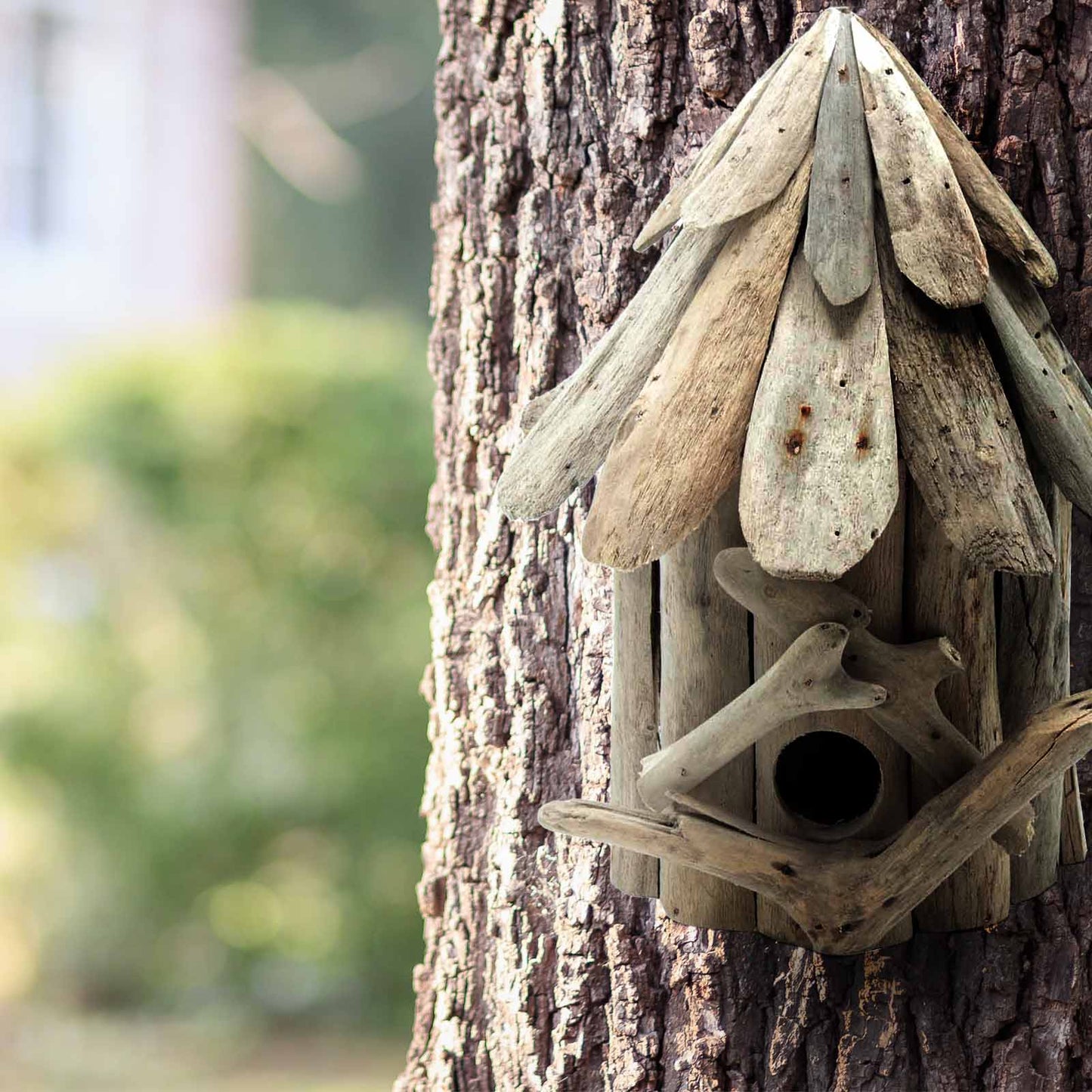 Driftwood Birdbox - Wallhanging