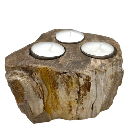 Petrified Wood Candle Holder - Triple