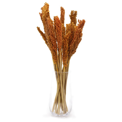 Cantal Grass Bunch - Orange