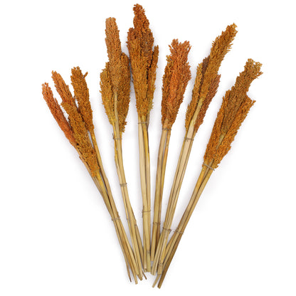 Cantal Grass Bunch - Orange