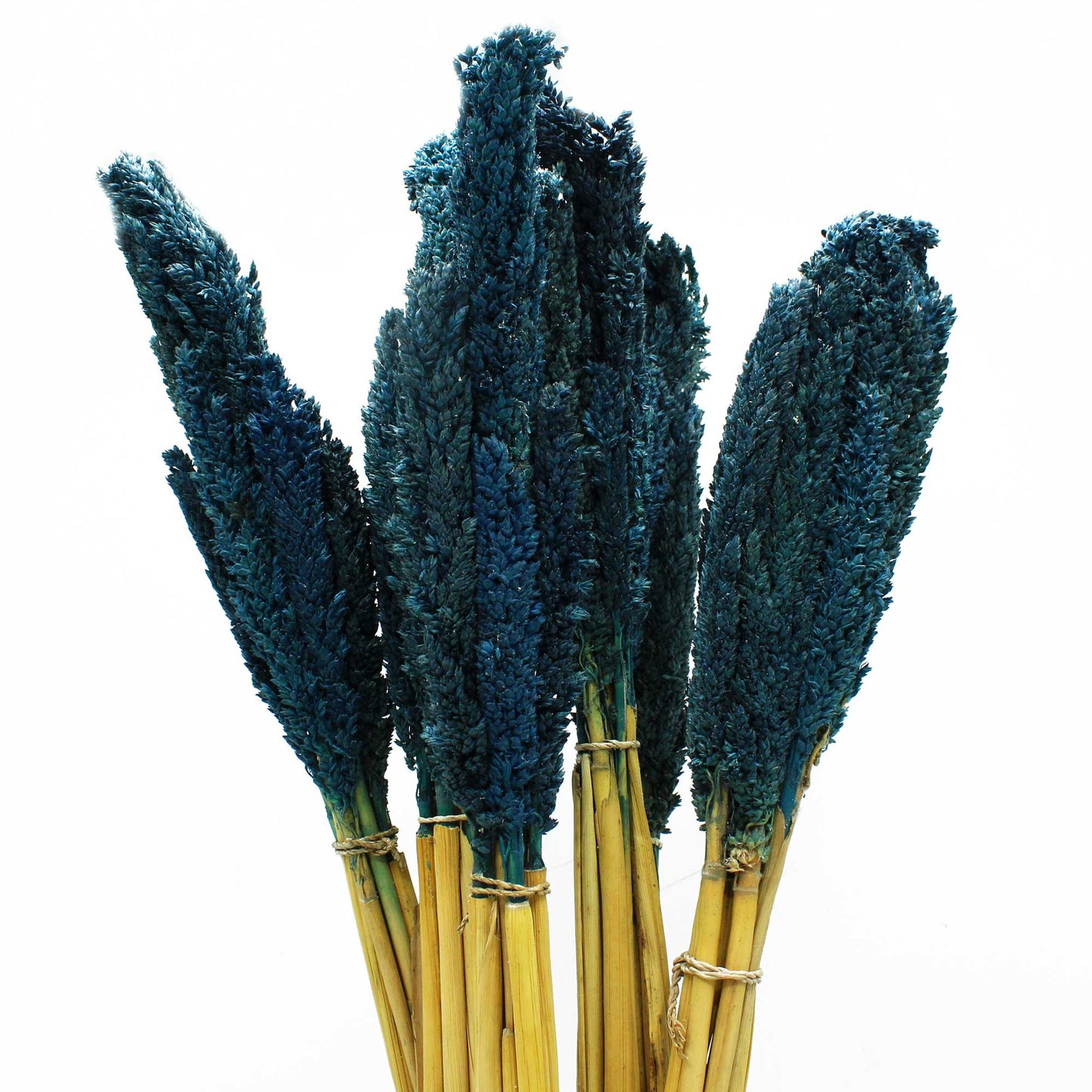 x6 Cantal Grass Bunch - Blue