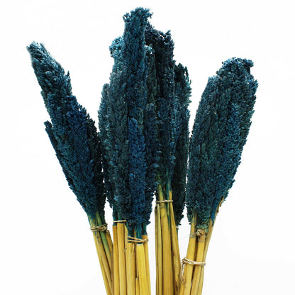 x6 Cantal Grass Bunch - Blue