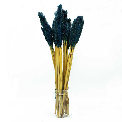 x6 Cantal Grass Bunch - Blue