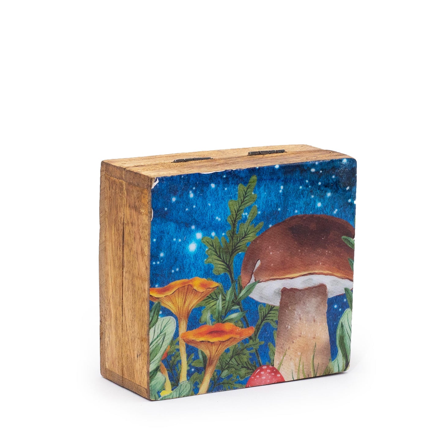 Enameled Square Box - Mushroom Design Teal
