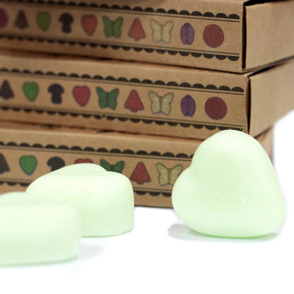 Gift Set of 6 Wax Melts  - Watermelon Fresh