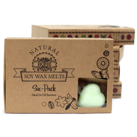 Gift Set of 6 Wax Melts  - Mint & Menthol