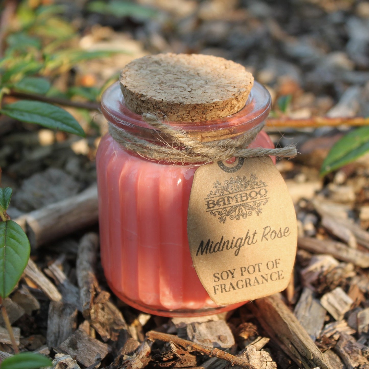 Midnight Rose Soy Pot of Fragrance Candle