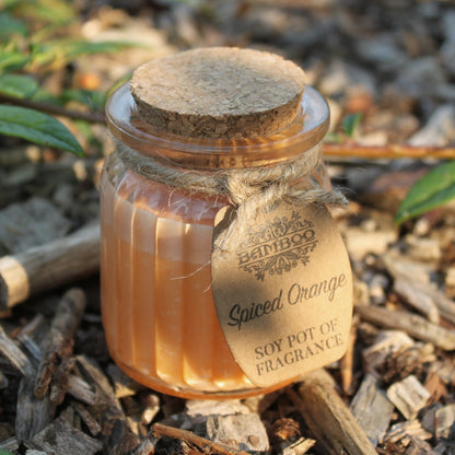 Spiced Orange Soy Pot of Fragrance Candle