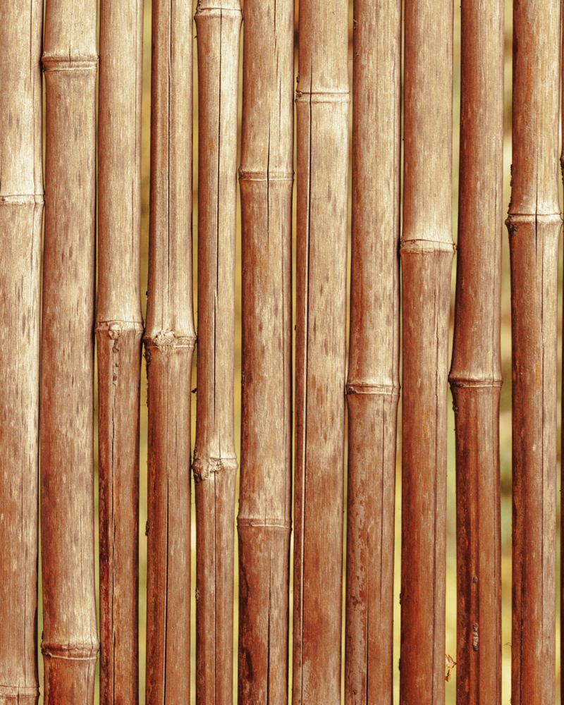 Smooth bamboo grain with warm honey hues