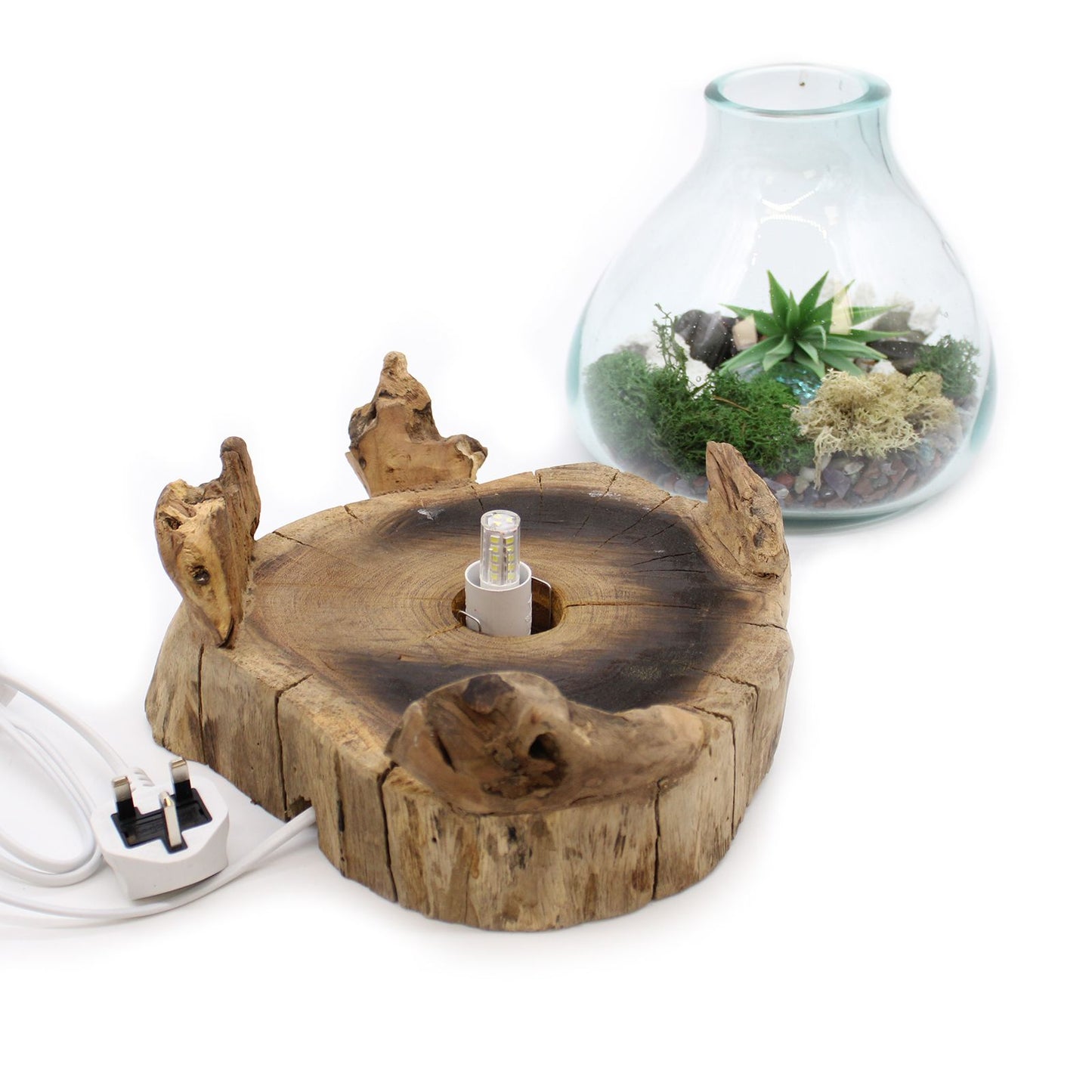 Large Terrarium Bowl with LED – Hand-Blown Molten Glass on Wood