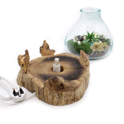 Large Terrarium Bowl with LED – Hand-Blown Molten Glass on Wood