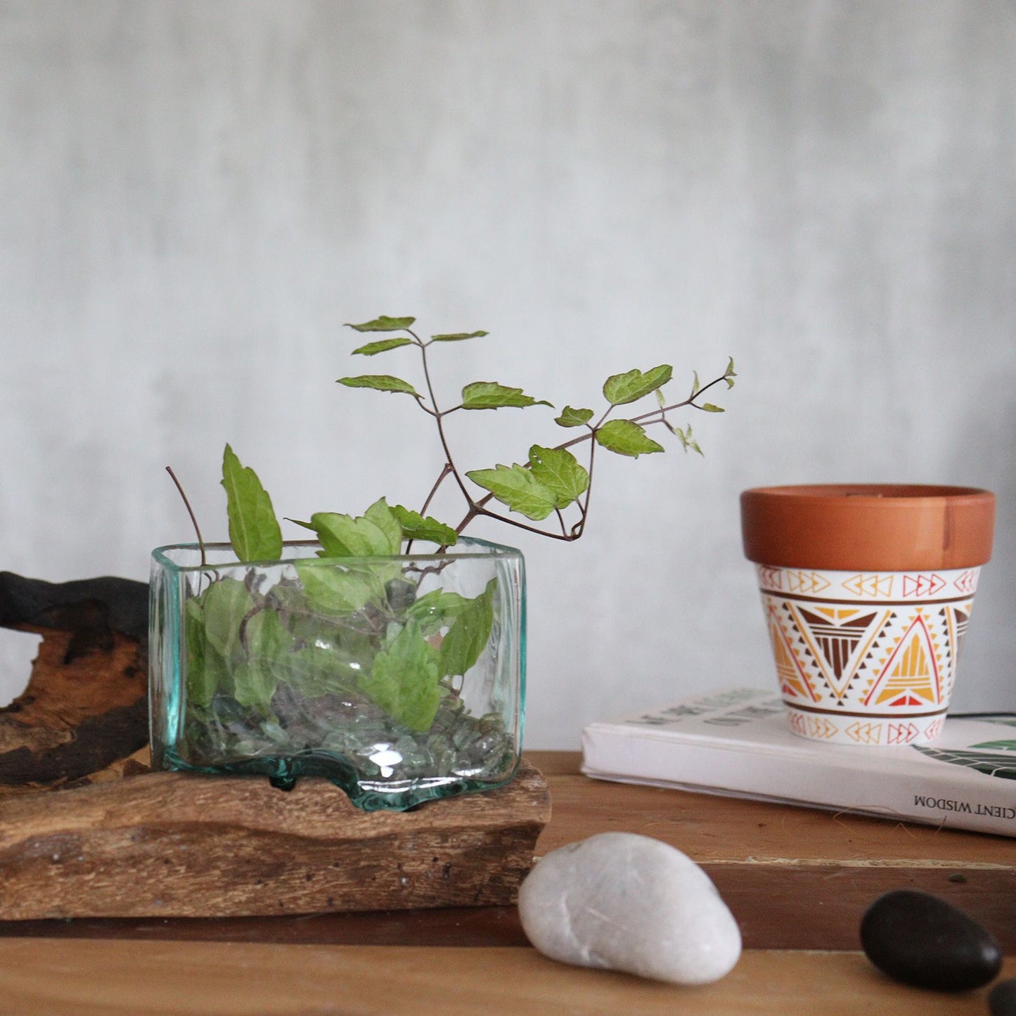 Small Bowl with Stand – Hand-Blown Molten Glass on Wood