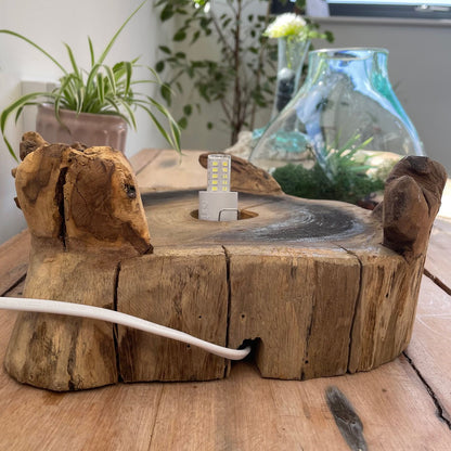 Large Terrarium Bowl with LED – Hand-Blown Molten Glass on Wood