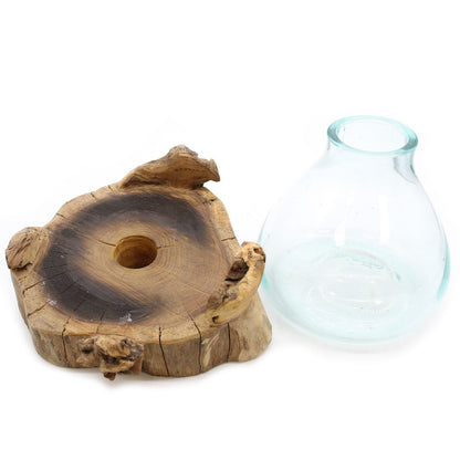 Large Terrarium Bowl with LED – Hand-Blown Molten Glass on Wood