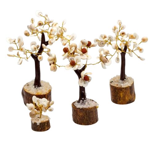 Gomati Chakra Circle Stone Trees - Set of 4