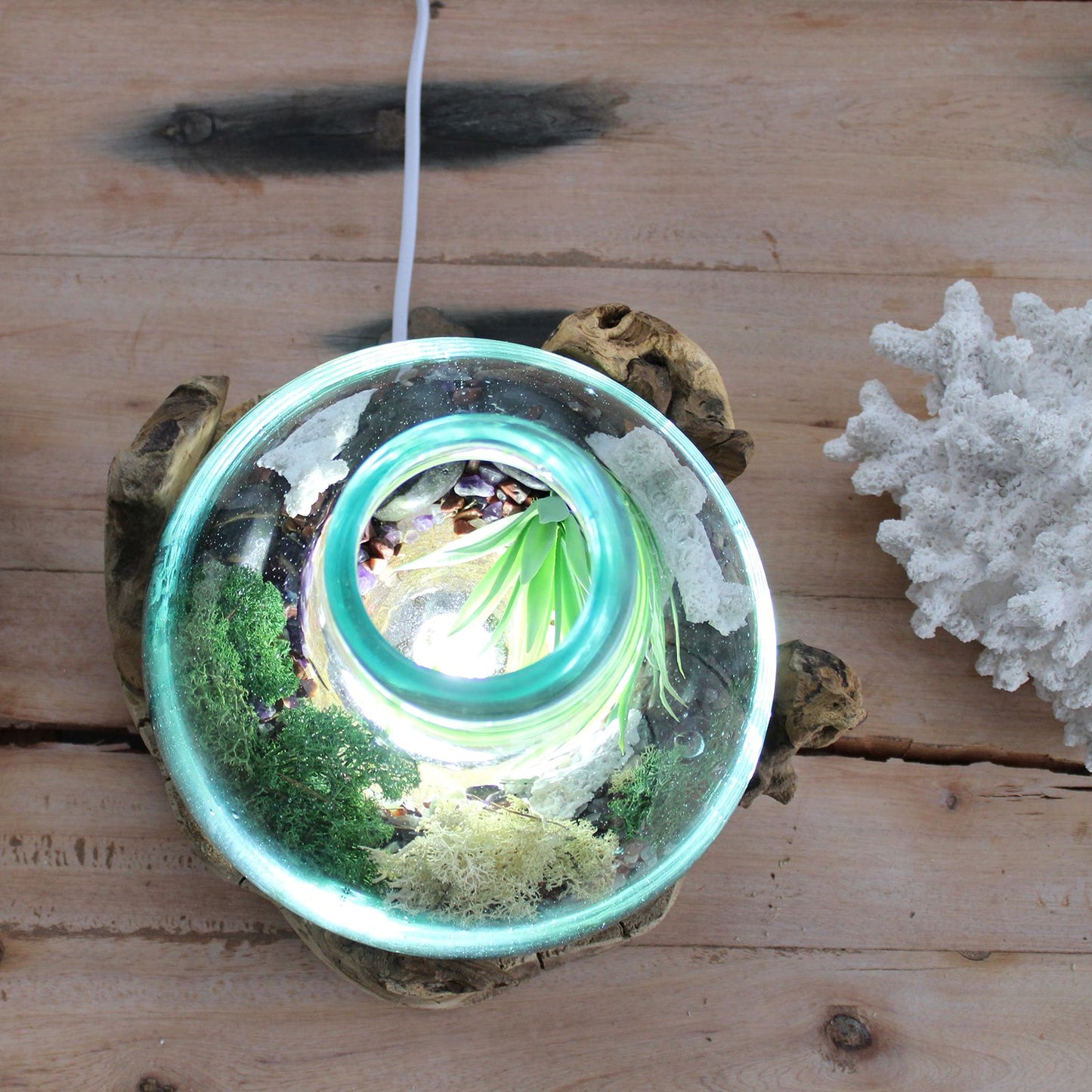 Large Terrarium Bowl with LED – Hand-Blown Molten Glass on Wood