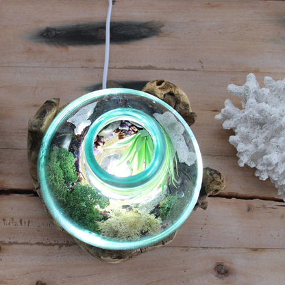 Large Terrarium Bowl with LED – Hand-Blown Molten Glass on Wood